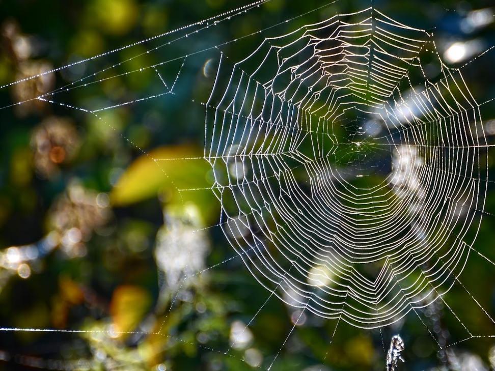 Gawra Gustawa Daire Ustrzyki Dolne Dış mekan fotoğraf